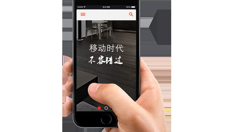前端与后端：小白入门的路径选择